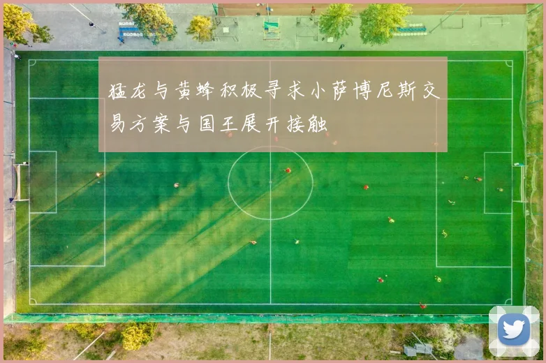 猛龙与黄蜂积极寻求小萨博尼斯交易方案与国王展开接触