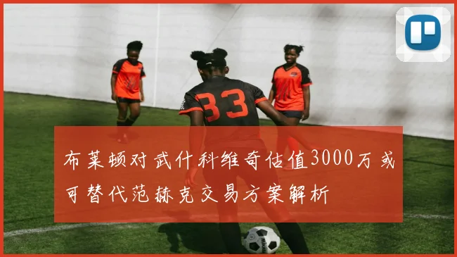 布莱顿对武什科维奇估值3000万或可替代范赫克交易方案解析