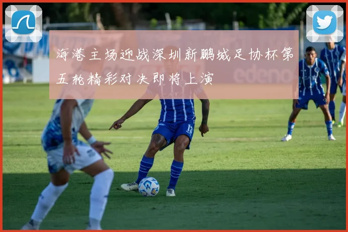 海港主场迎战深圳新鹏城足协杯第五轮精彩对决即将上演